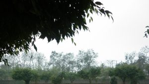 Trại hè con cháu trong họ: gắn kết thế hệ mới
